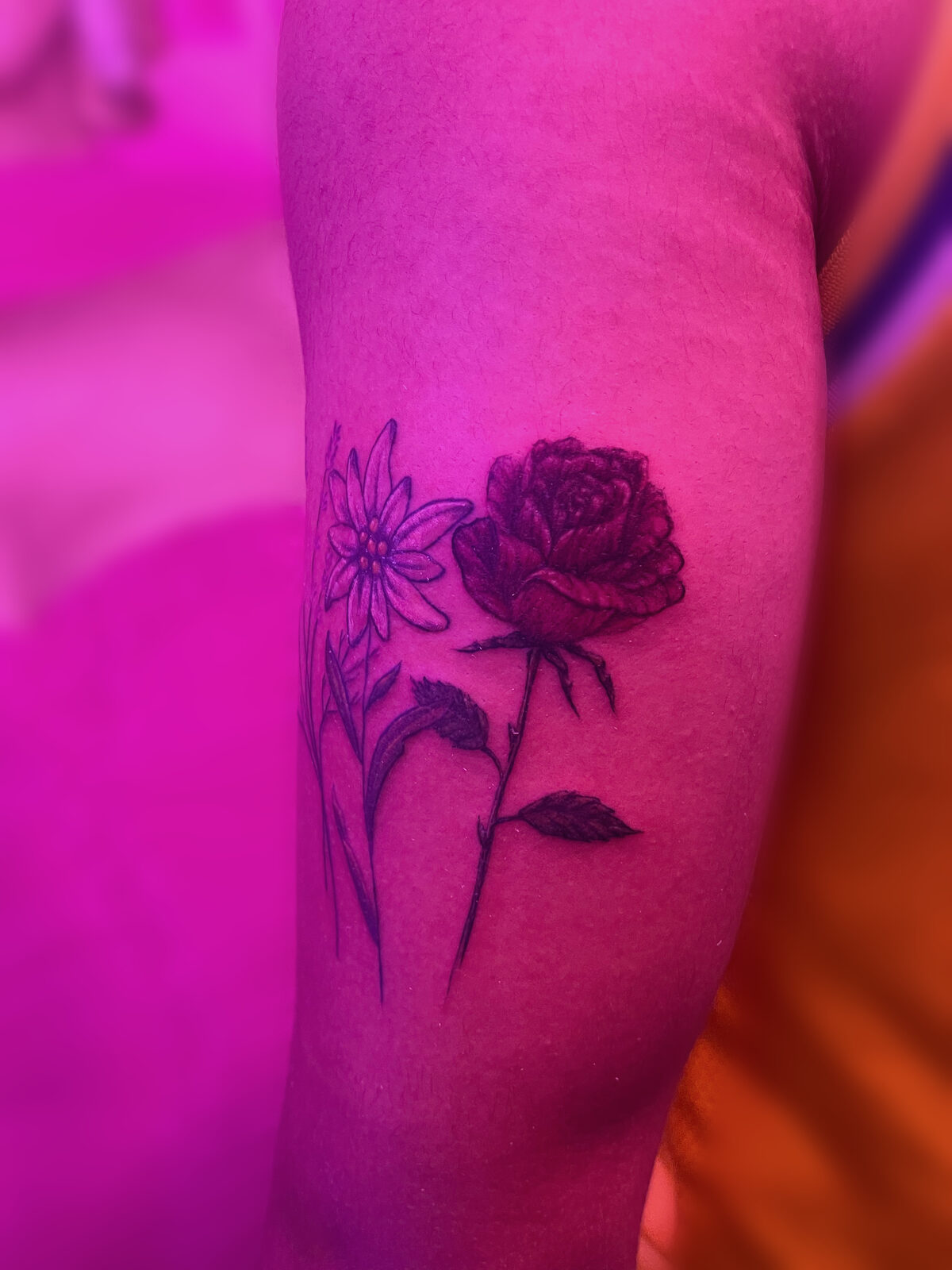 Fine line tattoo work at Pink Ink Tattoo