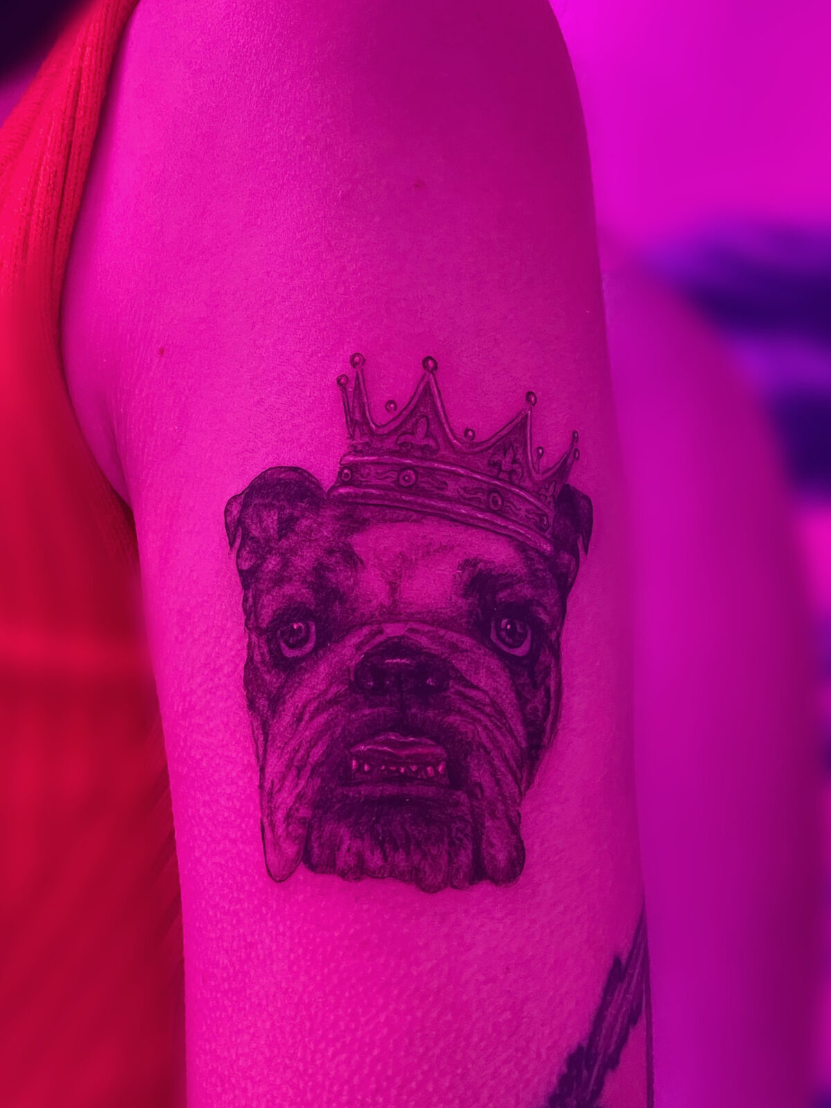 Pink Ink Tattoo Illustrative example