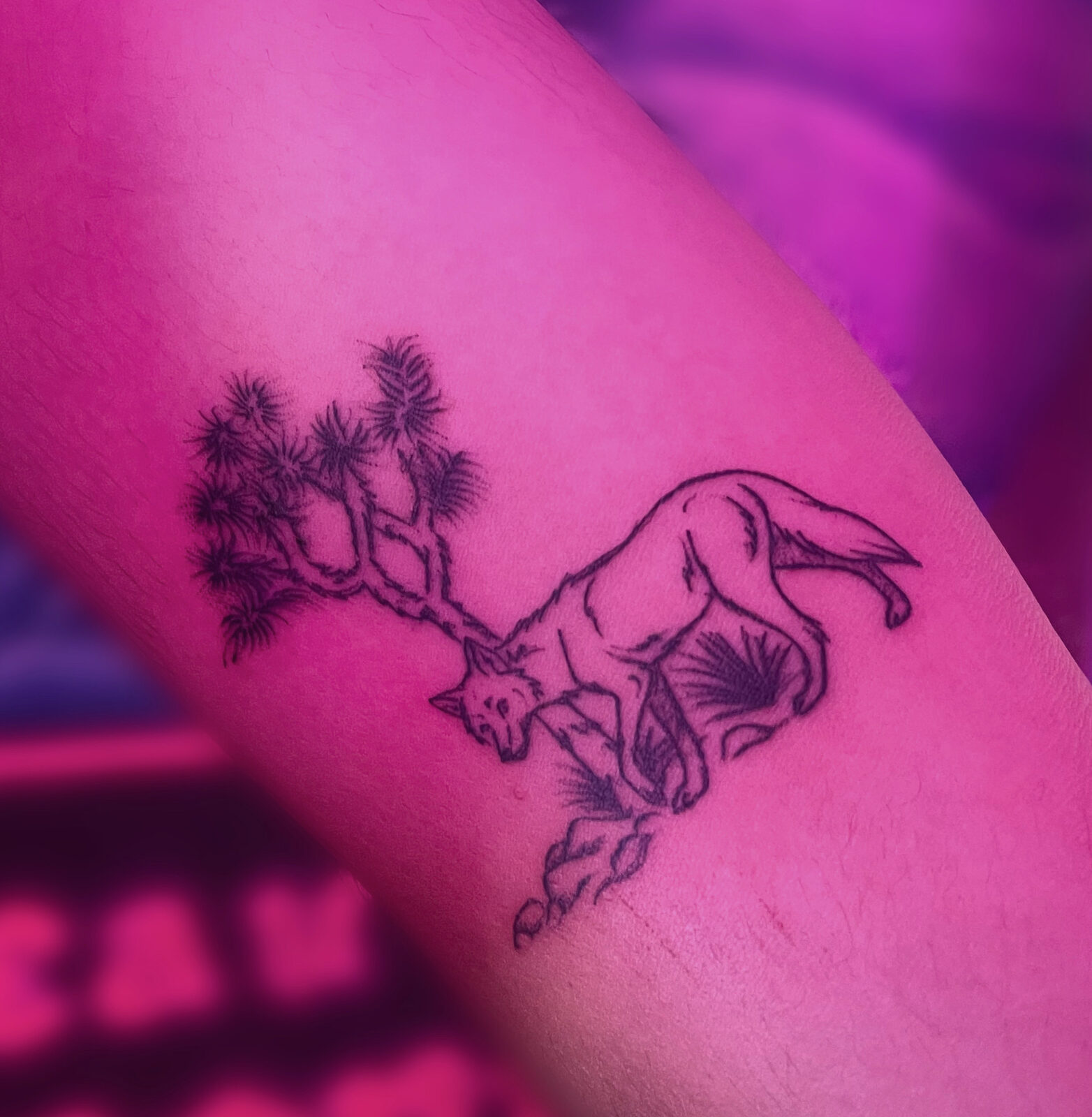 Pink Ink Tattoo Illustrative example