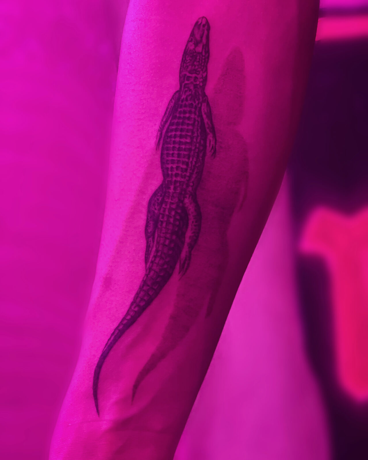 Pink Ink Tattoo Large Piece example