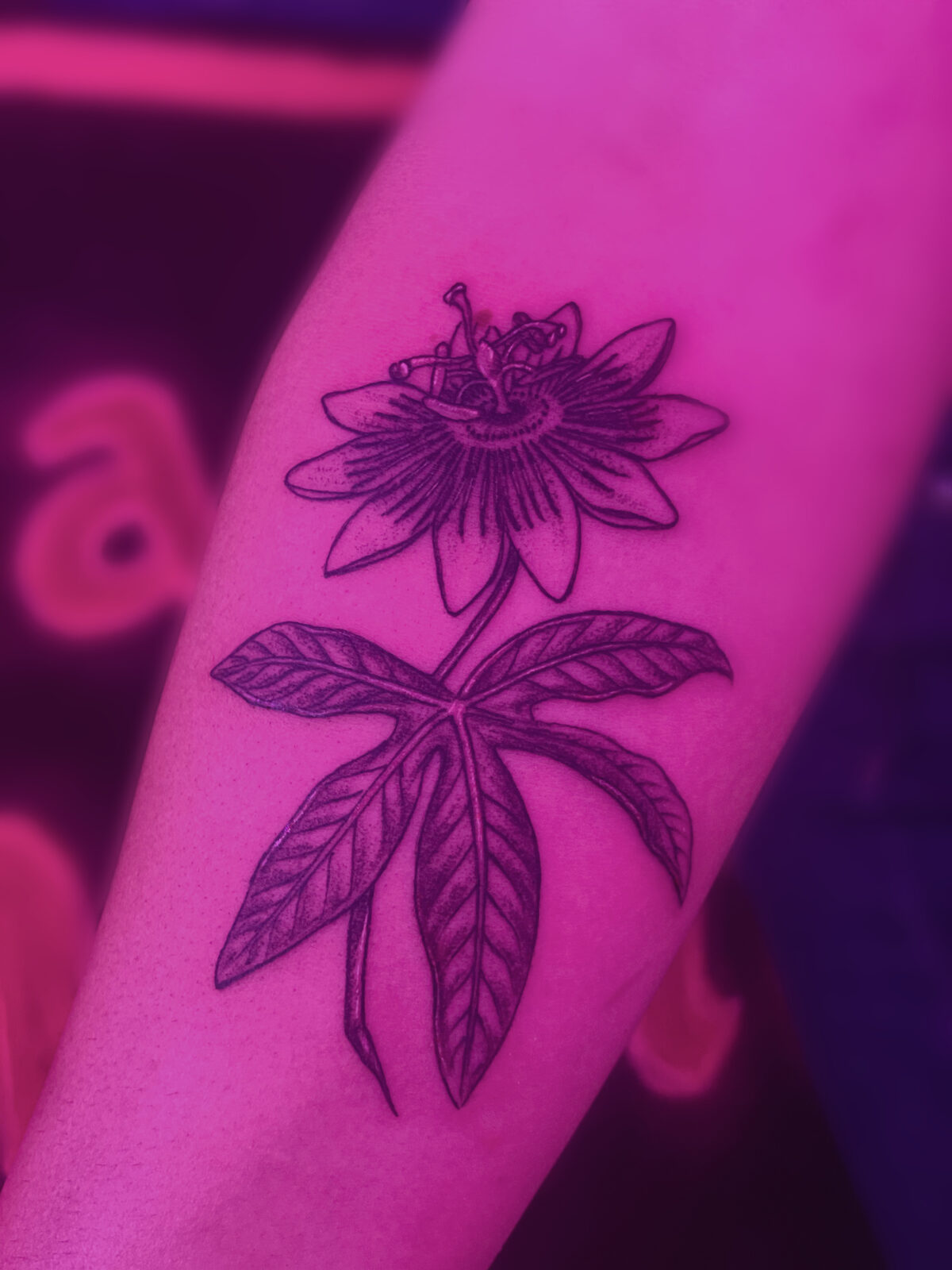 Pink Ink Tattoo Large Piece example